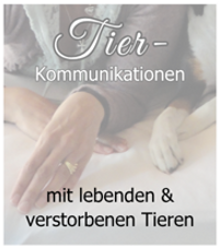 Tierkommunikation